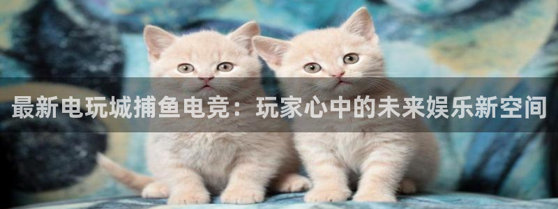 一竞技网址：最新电玩城捕鱼电竞：玩家心中的未来娱乐新空间