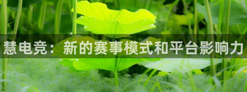 一竞技app官网入口：慧电竞：新的赛事模式和平台影响力