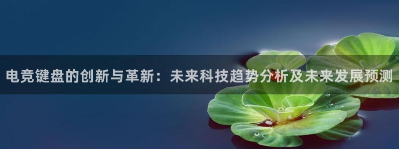 一竞技官网登录入口：电竞键盘的创新与革新：未来科技趋势分析及未来发展预测
