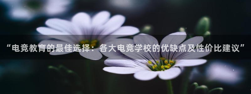 一竞技平台怎么样：“电竞教育的最佳选择：各大电竞学校的优缺点及性价比建议”