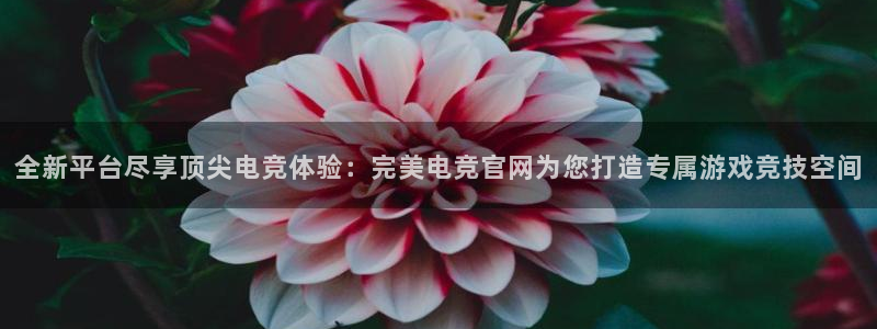 一竞技这个平台怎么样：全新平台尽享顶尖电竞体验：完美电竞官网为您打造专属游戏竞技空间