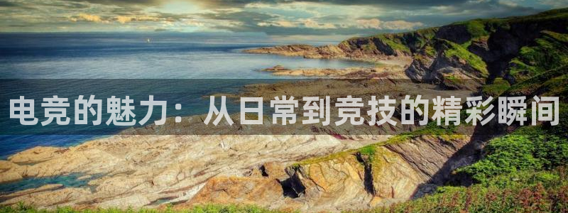 一竞技电竞：电竞的魅力：从日常到竞技的精彩瞬间