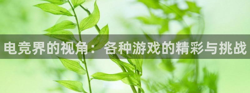 一竞技测速站网址：电竞界的视角：各种游戏的精彩与挑战