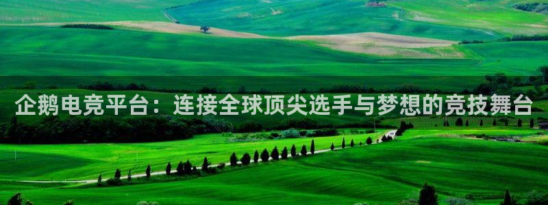 一竞技官网地址：企鹅电竞平台：连接全球顶尖选手与梦想的竞技舞台