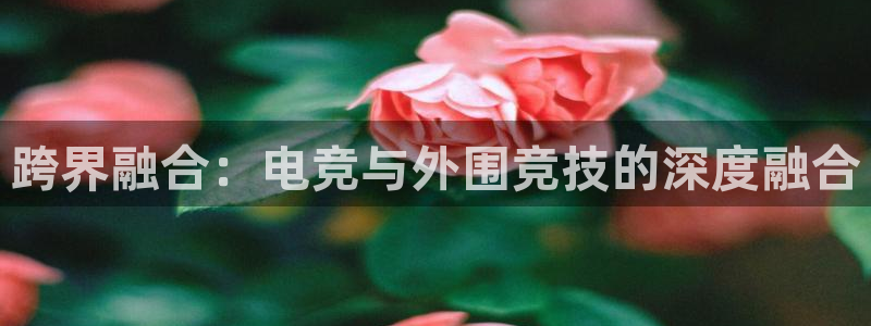 轻轻说打一竞技：跨界融合：电竞与外围竞技的深度融合