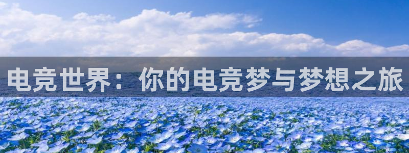 一竞技官网地址：电竞世界：你的电竞梦与梦想之旅
