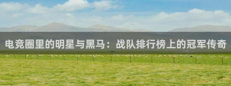 一竞技app官网入口：电竞圈里的明星与黑马：战队排行榜上的冠军传奇